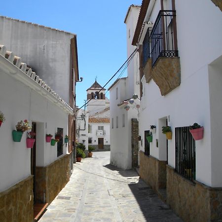 Moclinejo House Villa Málaga Eksteriør billede