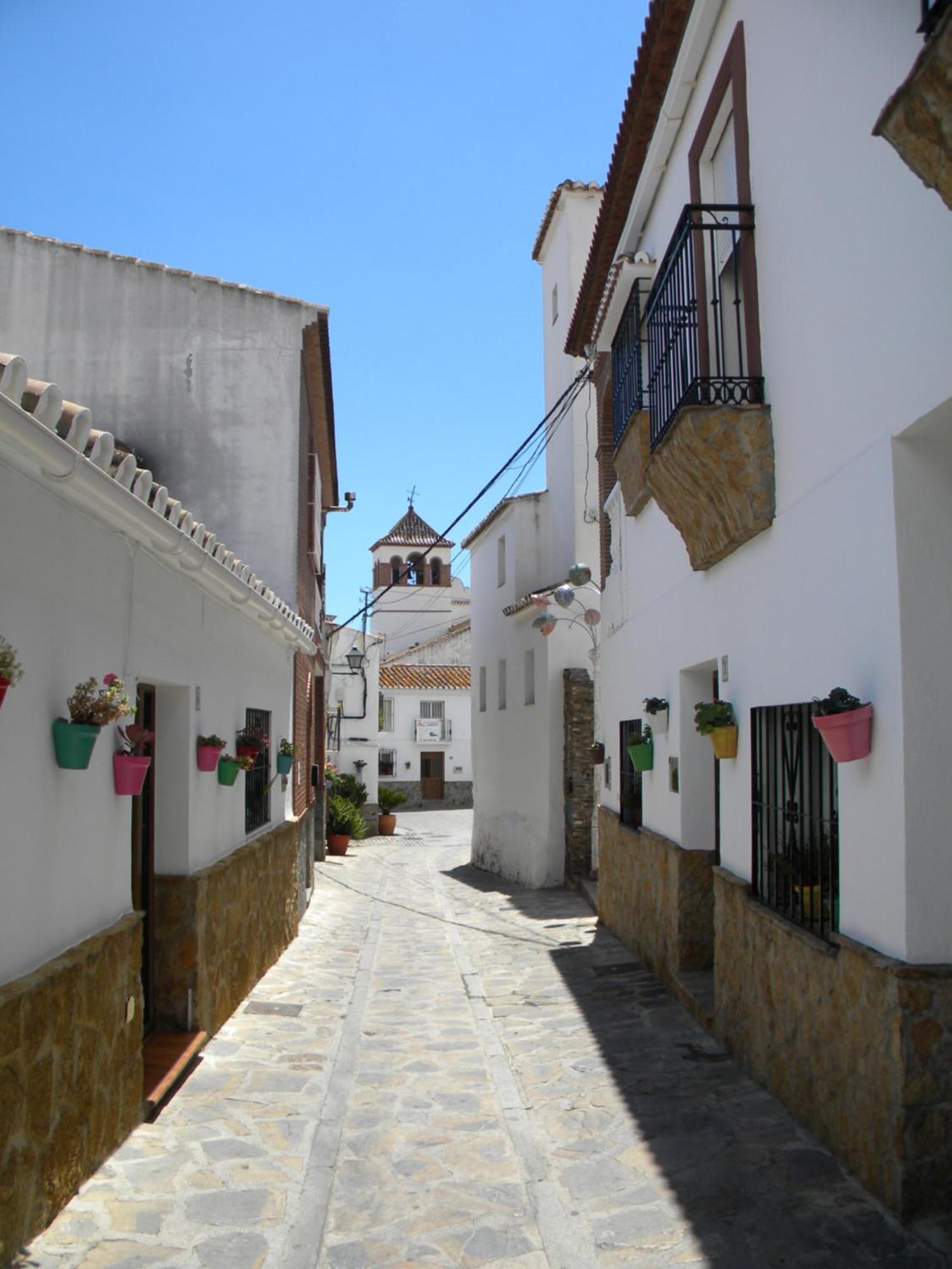 Moclinejo House Villa Málaga Eksteriør billede